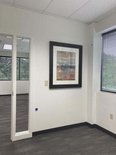 Corporate Office Installation