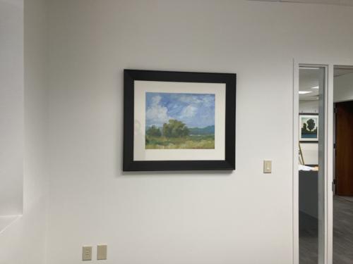 Corporate Office Installation